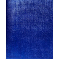 Тетрадь А5 96л клетка синий бумвинил металлик на скобе 96Т5бвВ1/061255