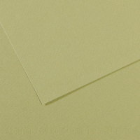 Бумага для пастели А4 160г/м2 зеленая светлая (хлопок 50%) №480 Mi-Teintes 31032S022