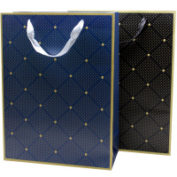 Пакет подарочный "Ромбы" 18х23х10см картон 4 цвета 11536-24