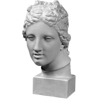 Голова Венеры Медичи (Медицейской) 17х18х32,5см 10-183