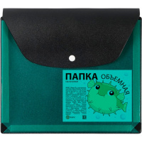 Папка-конверт на кнопке А5 пвх, с расширением 2,5см, черная/зеленая 2915/107/139 Папка-конверт на кнопке А5 пвх, с расширением 2,5см, черная/зеленая 2915/107/139