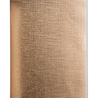 Тетрадь А5 48л клетка золото бумвинил на скобе 48Т5бвВ1/059231