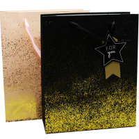 Пакет подарочный "Для тебя. Золотые блестки" 26х32х10см 4 цвета 11463-24