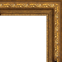 Рамка 40х50см коричневая/золото 34мм