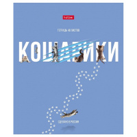 Тетрадь А5 48л клетка "Котобук" на скобе матовая ламинация 5 дизайнов 48Т5лВ1/079235