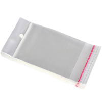 Пакет с клеевым клапаном 23х32см с европодвесом Y3944-16