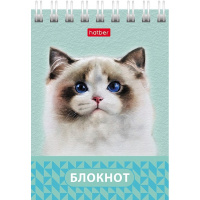 Блокнот А7 40л "Глазки, ушки, носик" клетка, на спирали 6 дизайнов 081186