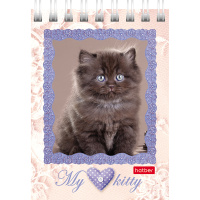 Блокнот А7 40л "Котята" клетка, на спирали 5 дизайнов 40Б7В1гр/051116