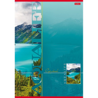 Тетрадь А4 80л клетка "Аквалайф" на скобе выборочный лак 3 дизайна 80Т4вмB3/013234