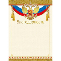 Благодарность 210х295мм 044.071