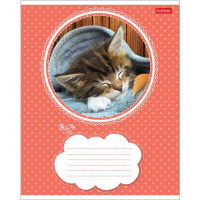 Тетрадь А5 18л линия "Котята" на скобе 5 дизайнов 18Т5В2/012312