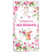 Конверт для денег "С рождением малышки!" 167х83мм 0323.052
