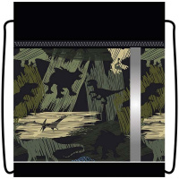 Сумка для сменной обуви "Элит. Динозавры" 36x46см 1 отделение с карманом СДС-711