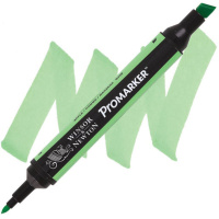 Маркер художественный "Pro" яблоко, двухсторонний PMSAPPL