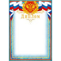 Диплом 210х297 29369