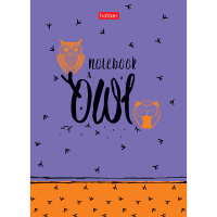 Бизнес-блокнот А6 160л "Night owl" клетка 7БЦ 160ББ6В1_20822/060755