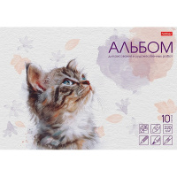 Альбом для рисования и худож.работ А4 10л "Любопытный носик" 220г/м2 склейка жесткая подложка