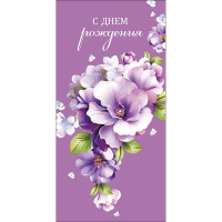 Конверт для денег "В День Рождения" 167х83мм 0321.478 Конверт для денег "В День Рождения" 167х83мм 0321.478
