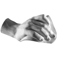 Кисть Давида 43х25х19см 20-209