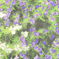 Набор салфеток для декупажа 33х33мм 20шт Цветы Y6787-18