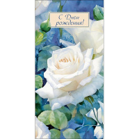 Конверт для денег "С Днем Рождения!" 167х83мм 0319.983