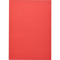 Обложка для переплета 10 листов А4 200мкм пластик красный