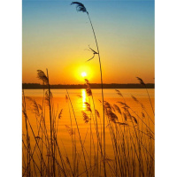 Алмазная мозаика 30х40см "Закат" полная выкладка GB75810