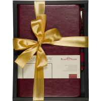 Набор подарочный "Megapolis Nebraska" (ежедневник А5 272стр. бордовый + ручка шариковая) 3-693/01-2