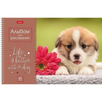 Альбом для рисования А4 40л "Doggie-Щенки" на спирали, перфорация на отрыв, 4 дизайна