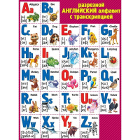 Плакат "Английский алфавит разрезной с транскрипцией" 440х600мм 0800994