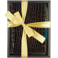 Набор подарочный "Caiman" (ежедневник А5+ 272стр. коричневый + ручка шариковая) 3-494-2