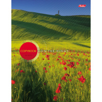 Тетрадь на кольцах А5 120л клетка "Великолепный ландшафт" 120ТК5B1_12377/034927