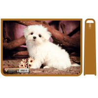 Папка д/труда А4 "Маленький щенок" 325х230х100мм на молнии сверху, пластик ПТР-22