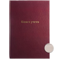 Книга учета А4 96л линейка, твердая обложка бумвинил + тиснение фольгой КУ-522 2056426