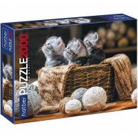 Пазлы 2000 эл. "Premium. Хвостатые полосатые" 98х68см 2000ПЗ1_21008/071651
