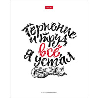 Тетрадь А5 48л клетка "Ой, всё!" на скобе, 5 дизайнов 48Т5В1/065459