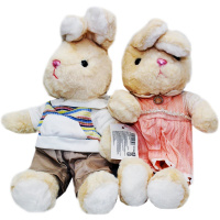 Заяц в одежде 23см 2 вида WT2564