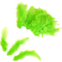 Набор перьев 100шт/уп., зеленый Y7468-18