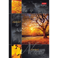 Бизнес-блокнот А5 120л "Медовый закат" клетка глянцевая ламинация с поролоном 7БЦ 040994