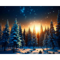 Живопись по номерам (акрил) 40х50см "Зимняя ночь" сложность 3, холст на подрамнике МСА1979