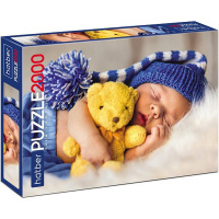 Пазлы 2000 эл. "Premium. Сны из детства" 98х68см 2000ПЗ1_27031/083771