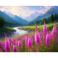 Живопись по номерам (акрил) 40х50см "Луговые цветы" сложность 4, холст на подрамнике МСА2065