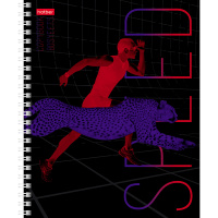 Тетрадь А5 80л клетка "В движении" на спирали глянцевая ламинация 4 дизайна 80Т5лВ1гр/063296