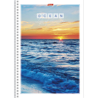 Тетрадь А4 96л клетка "Океан" на гребне 4 дизайна 96Т4B1гр/033749