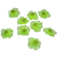 Цветок декоративный Фиалка 2,5см с бусинами, салатовый 9шт/уп. Y9507-19