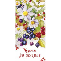 Конверт для денег "Чудесного Дня Рождения" 167х83мм 0320.501