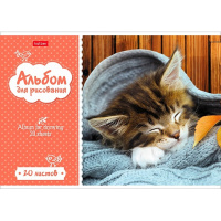 Альбом для рисования А4 20л "Котята" на скобе 5 дизайнов 20А4В/004023