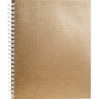 Тетрадь А5 96л клетка золото бумвинил металлик на спирали 96Т5бвВ1гр/059330