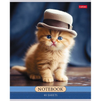 Тетрадь А5 48л клетка "Котики-артисты" на скобе 5 дизайнов 48Т5В1/085664