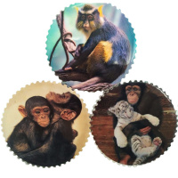 Магнит керам. Обезьяна 7см 6 видов Y2679-15